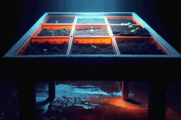 Looking down through a frosted cold frame lid at seed trays where a few cells show new growth